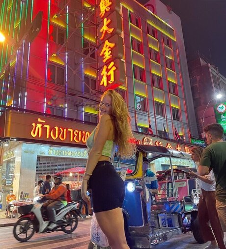 gringerliner Profile pic