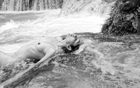 Lela Loren hot star image