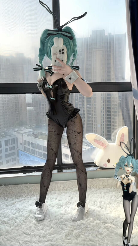 xianlugue model top image