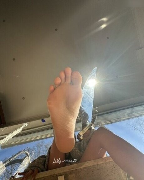 Lilly rosee23 free pornstar galleries