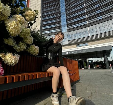 pavuk1 0 star pretty pictures