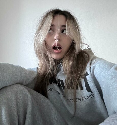 pavuk1 0 star free photos