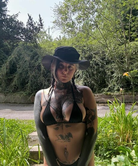 divinement bon star art galleries