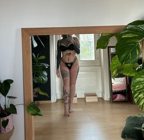 divinement bon star best galleries