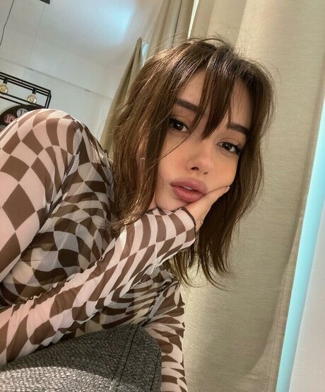 mildixs model free image