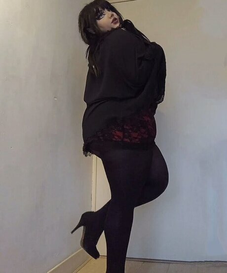 Bigtiddyash porn star img