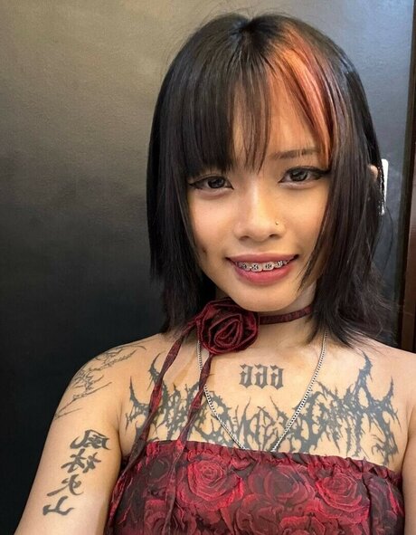 zems3lling star high quality pictures