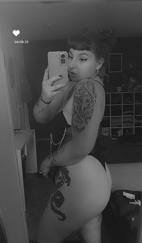 xlenaa official best star galleries