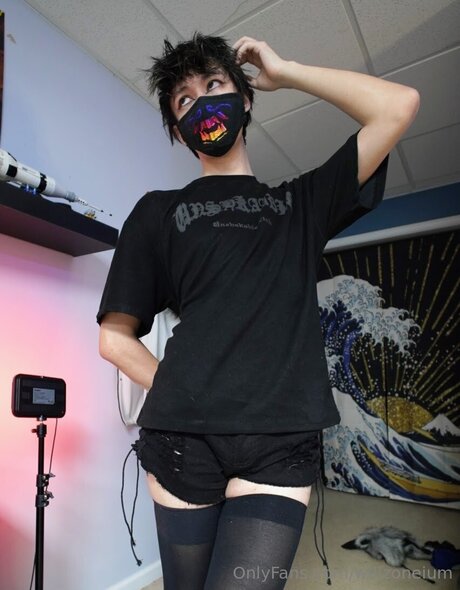 willzoneium model img