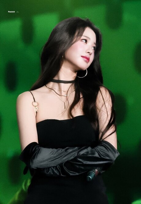 Jang Won young top actress images