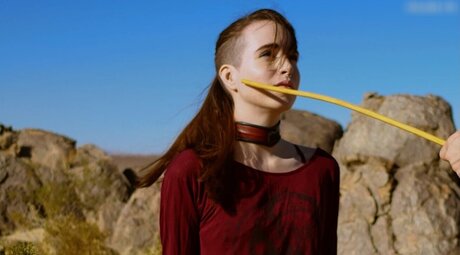 DomTheNation star perfect picture