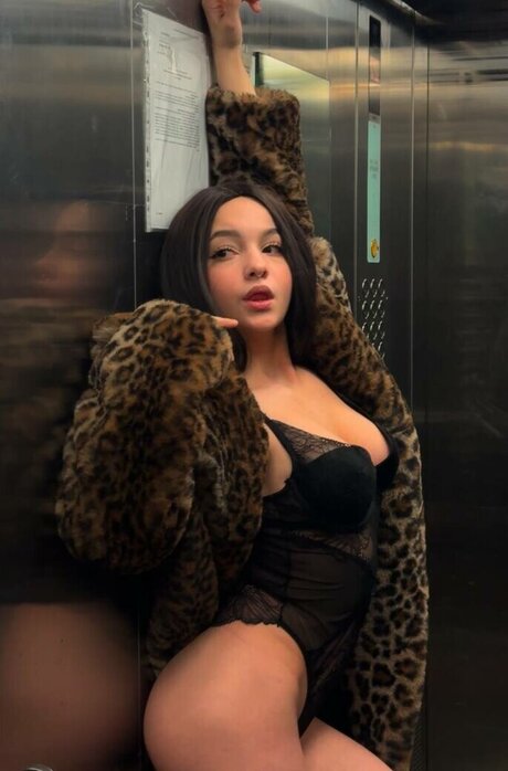 musclekitty pornstar hd archive