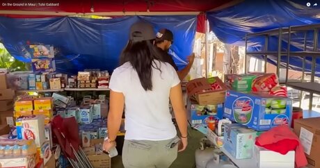 Tulsi Gabbard erotic star images