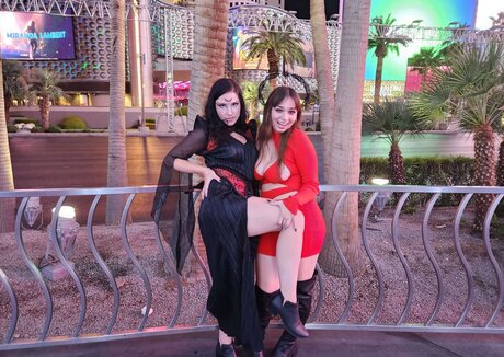 Notsoerudite Profile pic