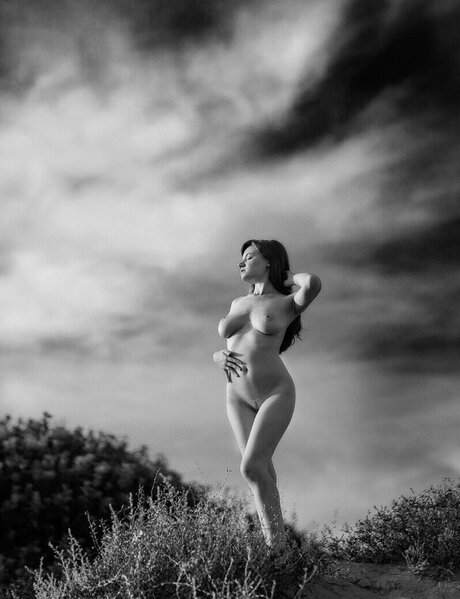 Arianna Gray pornographic star archive