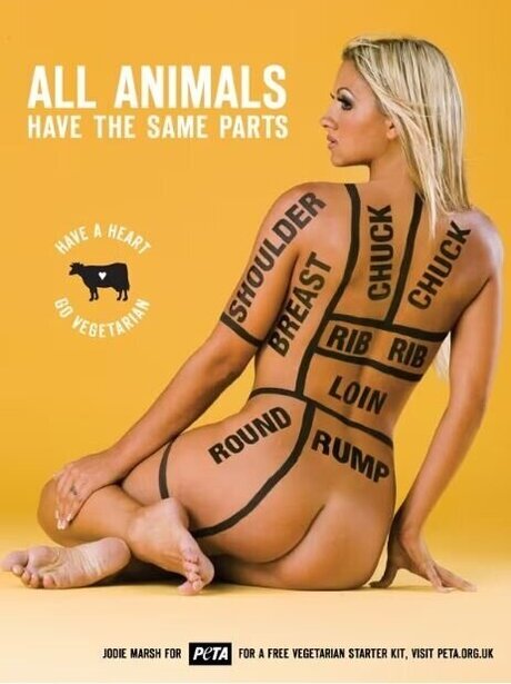 Werbungen star exclusive pictures