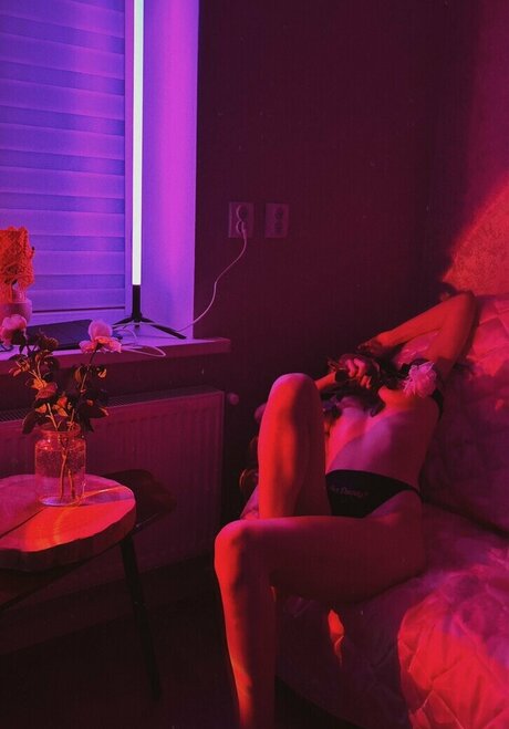 wkshiza star adult image