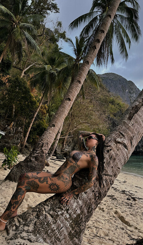 stefaniexlee star adult img