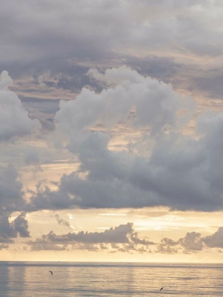 _Allima Amina pornstar top pictures