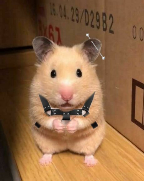 Lan pornstar high quality image