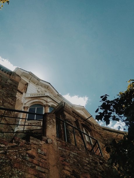 Lafet arte_ erotic star image