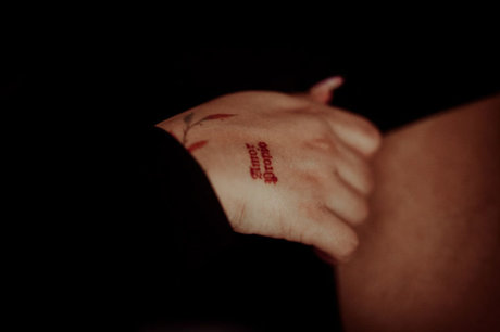 escarcha model top img