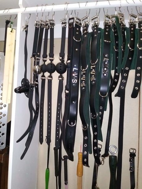 Lady Vanovia Serpentine actress pics