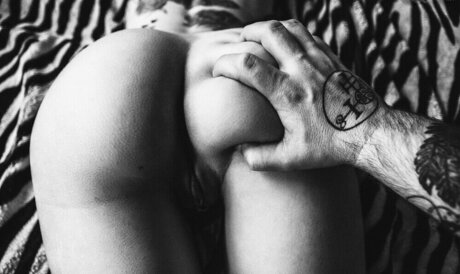 VipersDoll star adult galleries