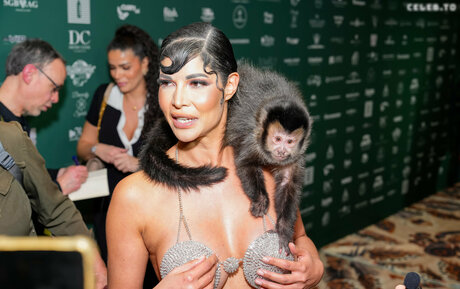 Micaela Sch fer adult actress galleries