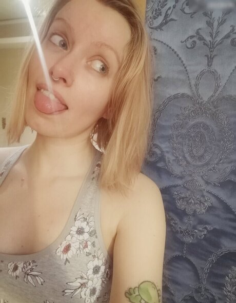 einfachsonina star best images