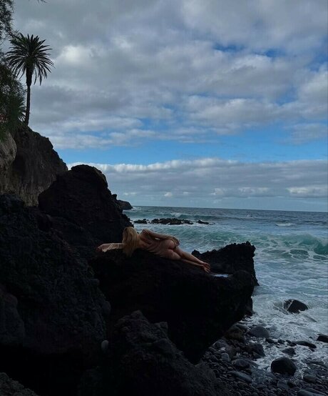 ol sushko free star img