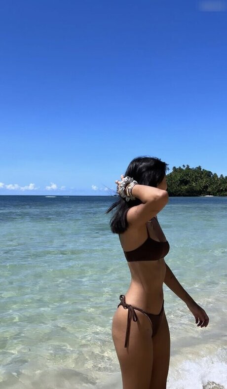 Liane Polt top star galleries