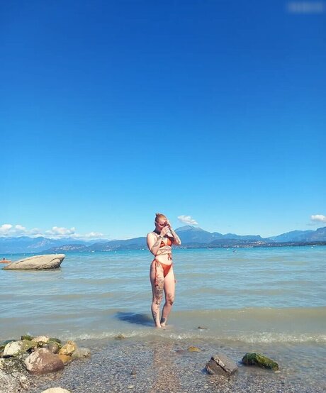 Typischblonnd art star images