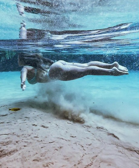 Camy Zimmer BR star perfect image