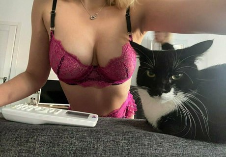 hollymoonvvip star top pic