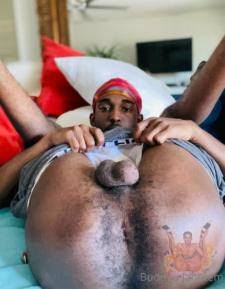 buddhajahreem best star pic