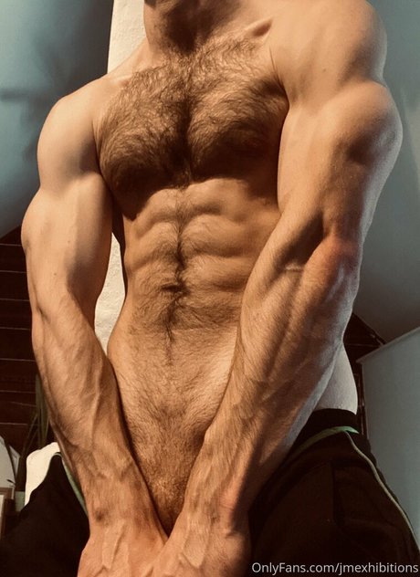 jmexhibitions model best image