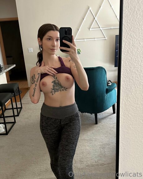 Owlicats free pornstar img