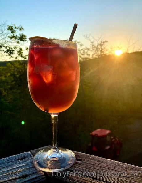 pussycat 357 star nudes galleries