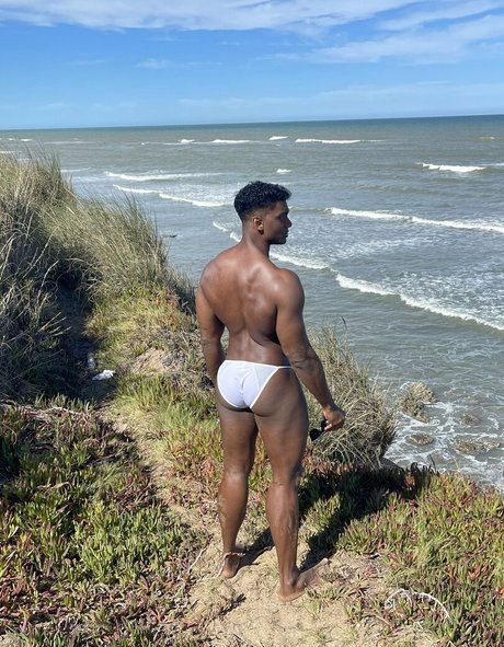 imroger free pornographic star pic