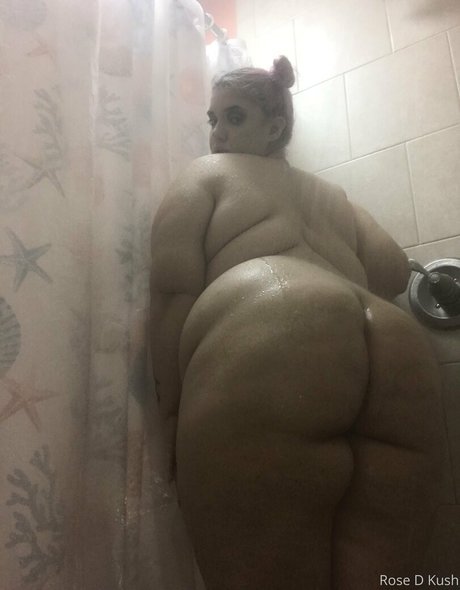 rose d kush pretty star galleries