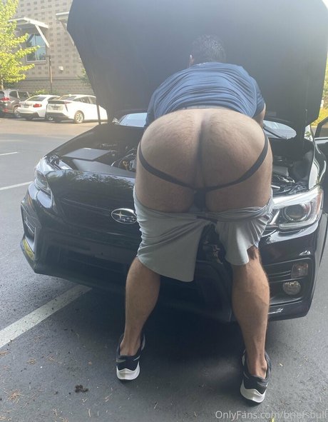 briefsbull top model galleries