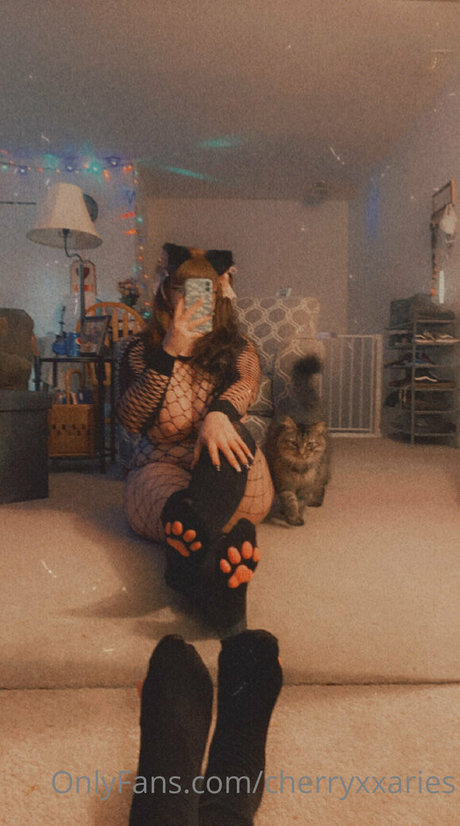 cherryxxaries star archive