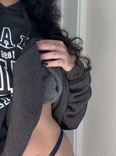 prissybiscuit star high quality gallery