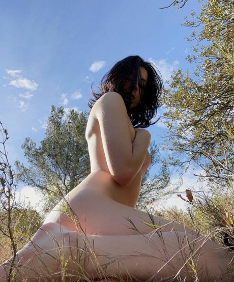 Hisamecos star free photos