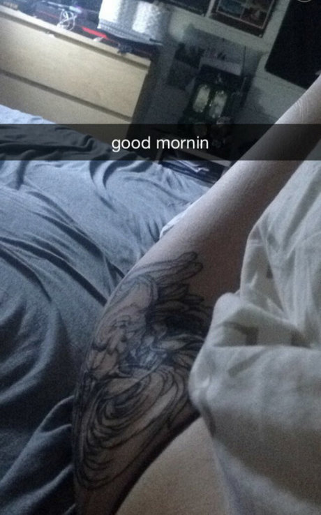 Proxyfox star high quality pic