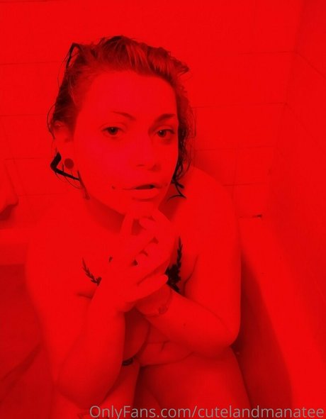 trusteemanatee beautiful star gallery