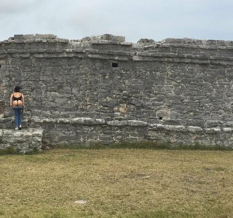 Willa Holland best star pics