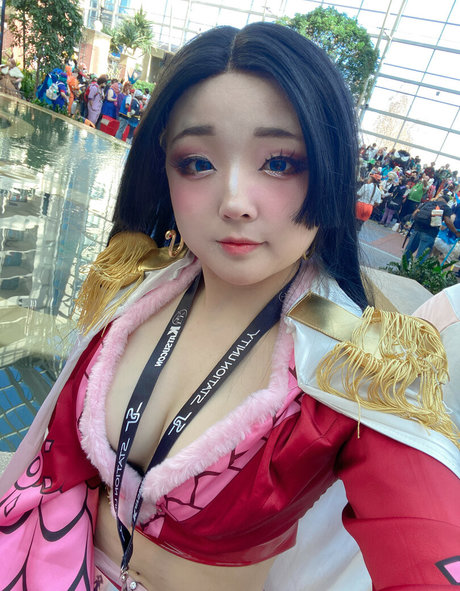 Donutskii model best images