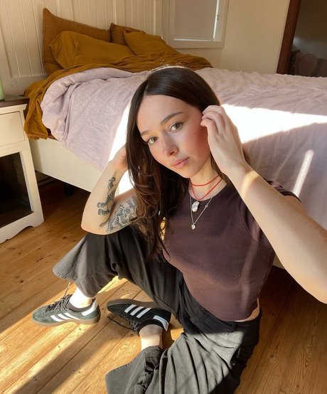 Holls8 star hd pictures